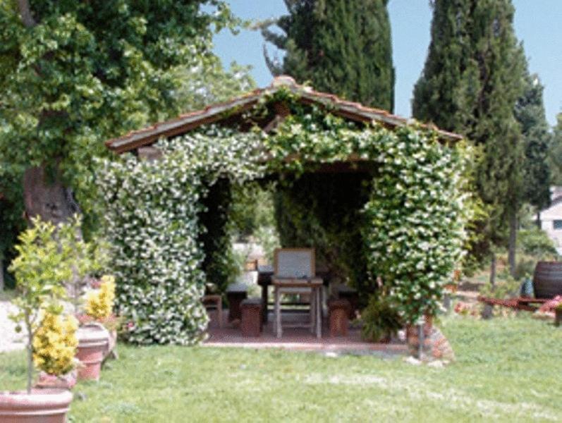 Agriturismo Relais Poggio Primo Borro Exteriér fotografie
