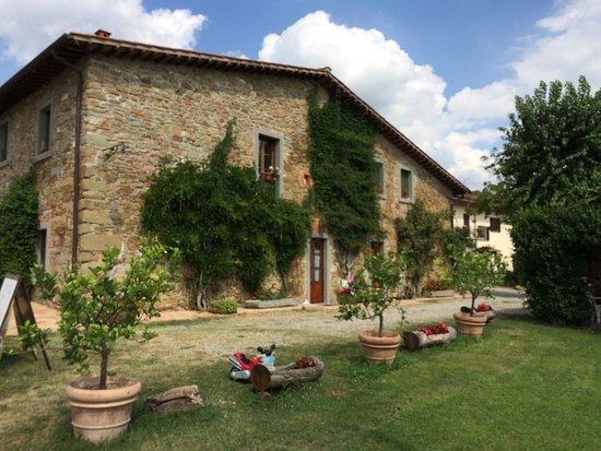 Agriturismo Relais Poggio Primo Borro Exteriér fotografie